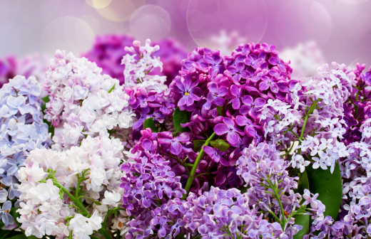 816808 (a): :3000x1936